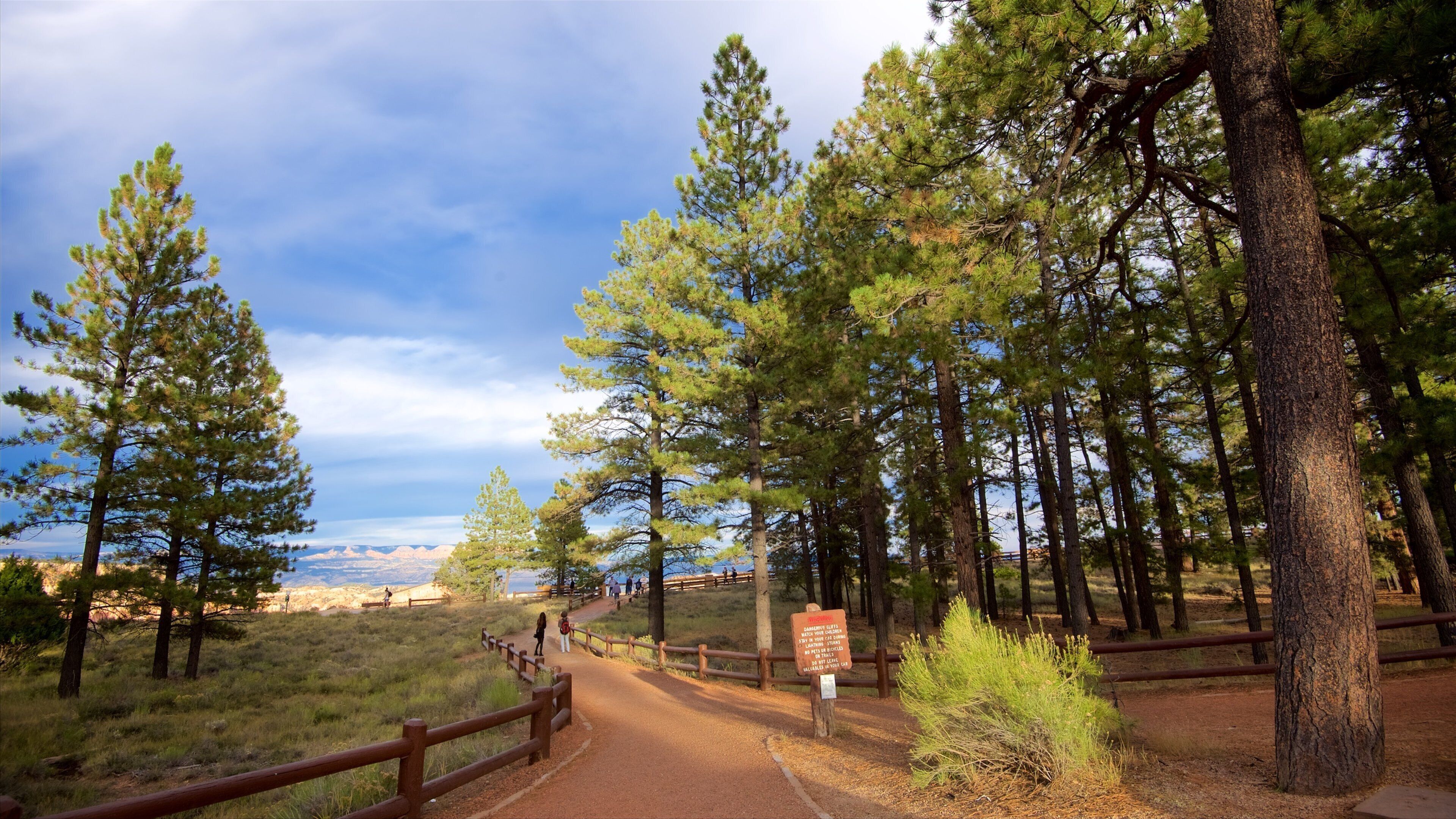 Sunset Point which includes tranquil scenes and forests