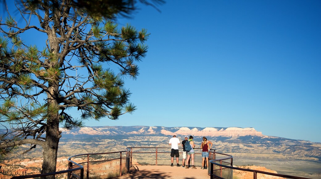 Inspiration Point ofreciendo un barranco o cañón, vistas al desierto y vistas