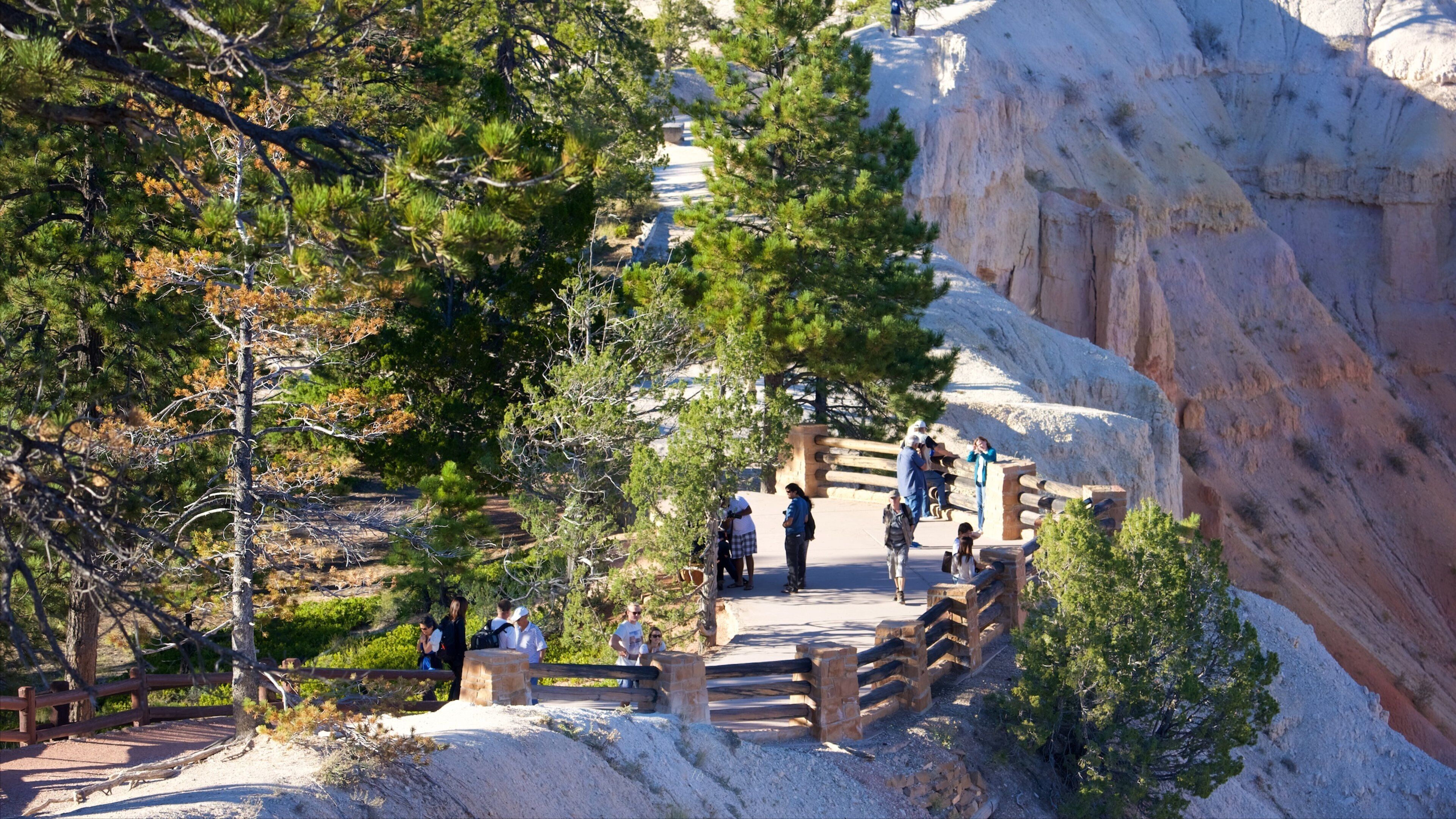 Inspiration Point which includes a gorge or canyon, tranquil scenes and desert views