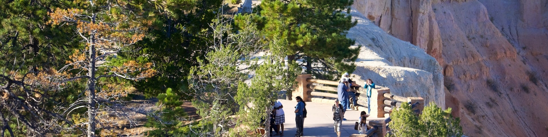 Inspiration Point mostrando un cañón o garganta, situaciones tranquilas y paisajes desérticos