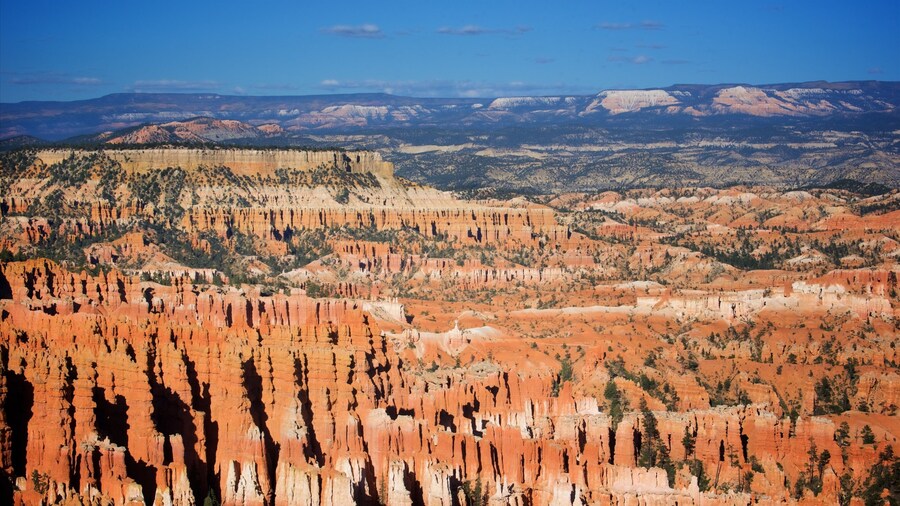 Inspiration Point which includes a gorge or canyon, tranquil scenes and desert views