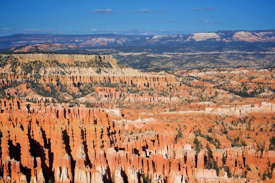 A vast canyon with layered rock formations and sparse vegetation.