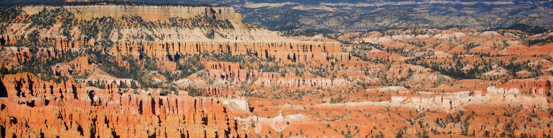 Inspiration Point which includes a gorge or canyon, tranquil scenes and desert views