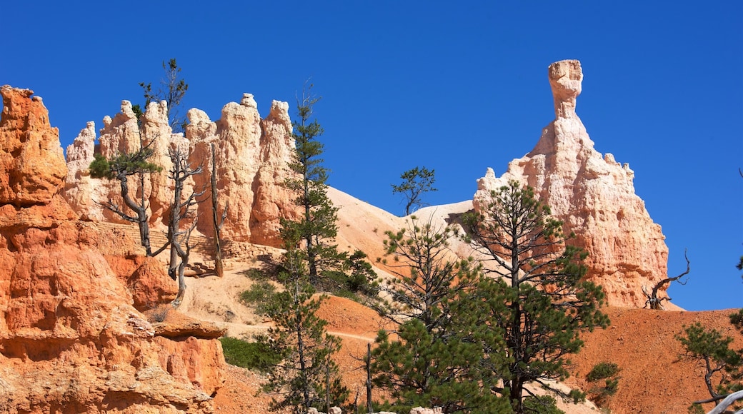 Inicio del sendero Queens Garden mostrando escenas tranquilas y montañas