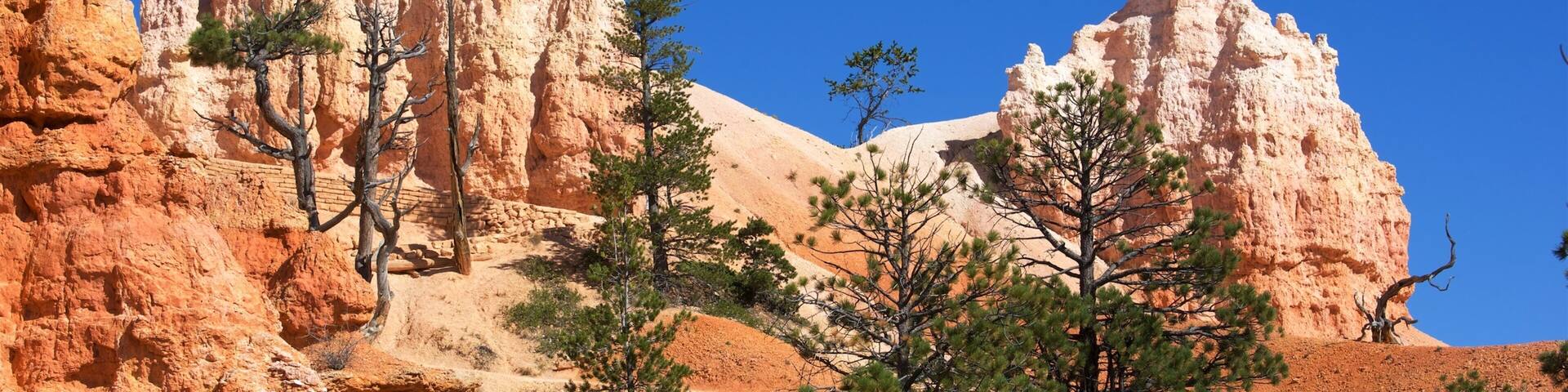 Queens Garden Trailhead which includes tranquil scenes and mountains