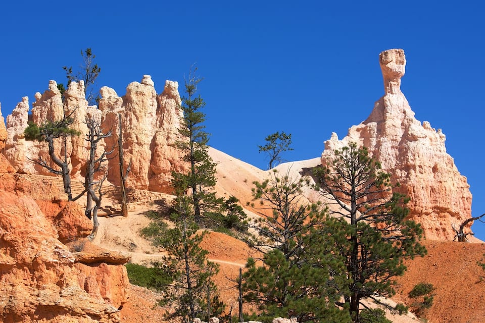 A rocky landscape with prominent rock formations and sparse trees.