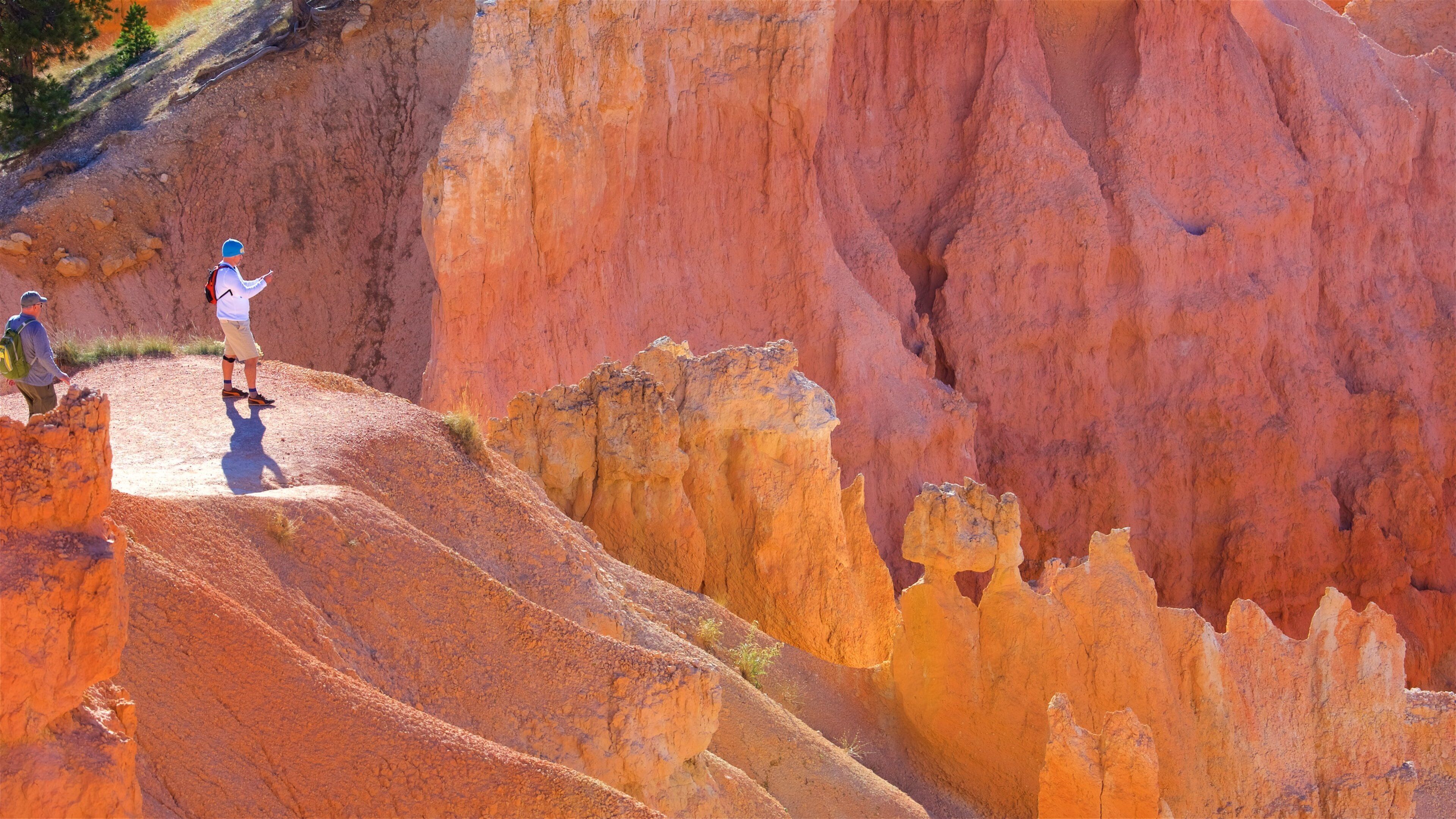 Queens Garden Trailhead showing tranquil scenes, hiking or walking and mountains