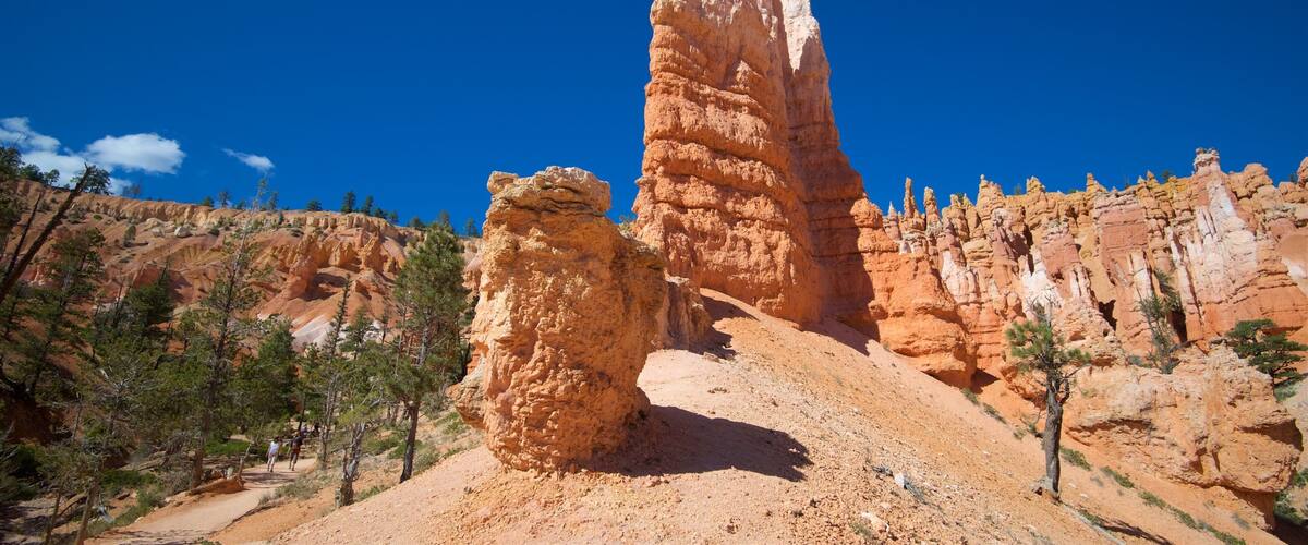 Queens Garden Trailhead featuring tranquil scenes and landscape views