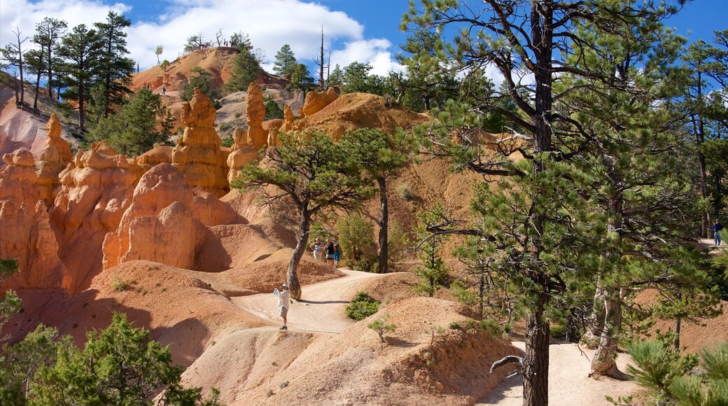 Queens Garden Trailhead featuring landscape views, hiking or walking and tranquil scenes