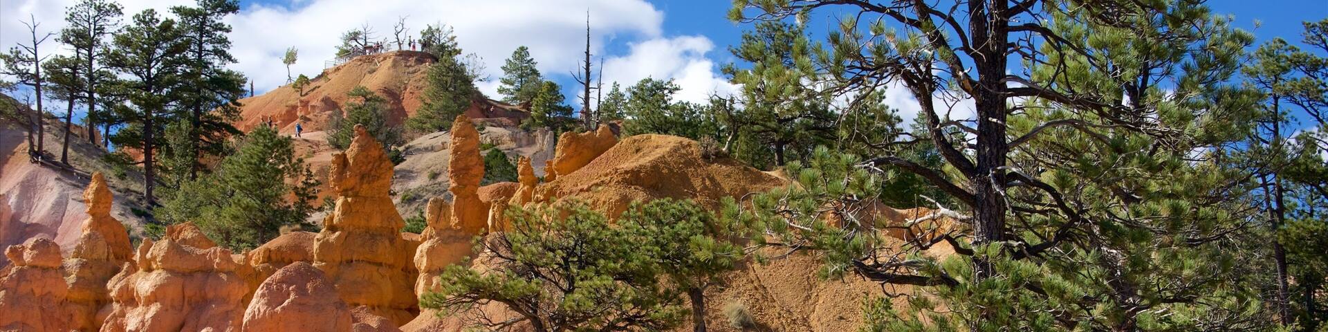 Queens Garden Trailhead which includes landscape views, tranquil scenes and hiking or walking