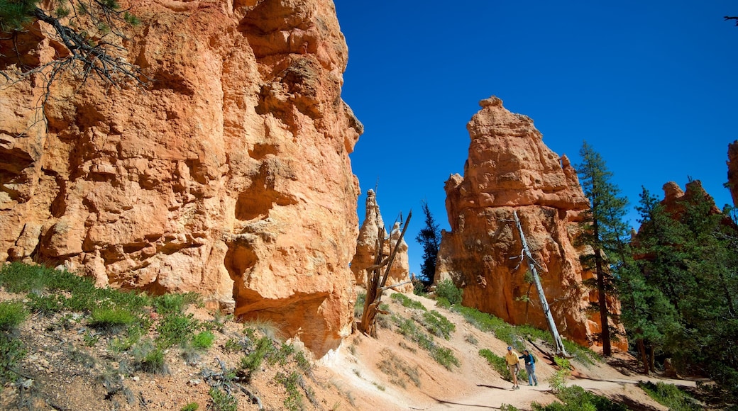 Inicio del sendero Queens Garden ofreciendo caminatas y escenas tranquilas y también una pareja