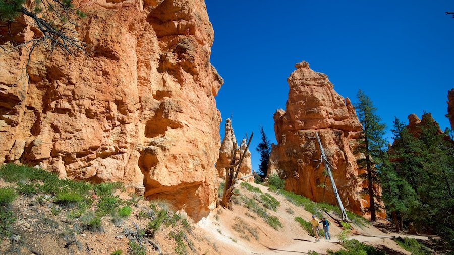 Queens Garden Trailhead featuring tranquil scenes and hiking or walking as well as a couple
