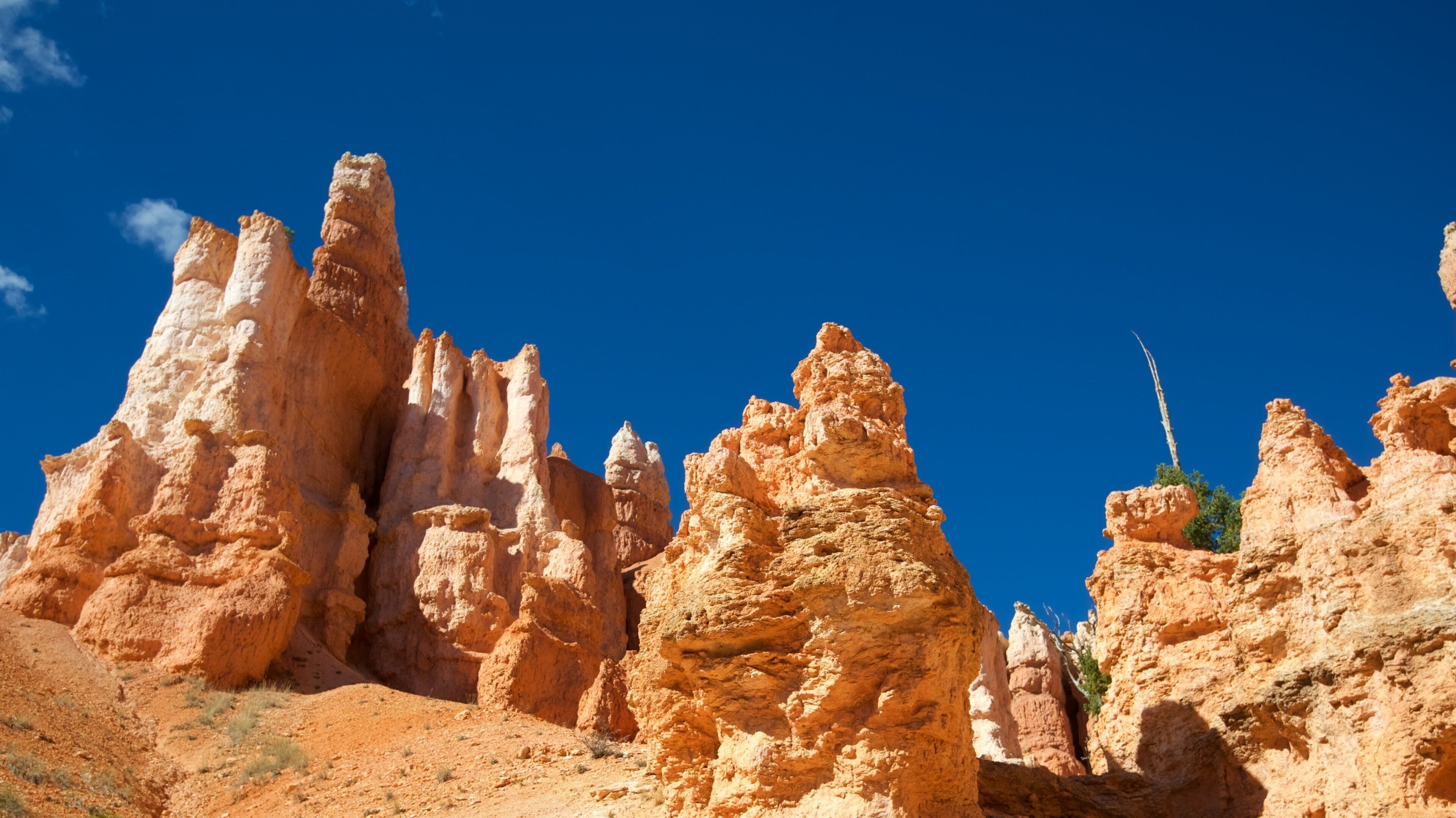 Sentier Queen\'s Garden qui includes scènes tranquilles