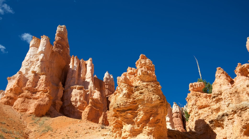 Inicio del sendero Queens Garden que incluye escenas tranquilas