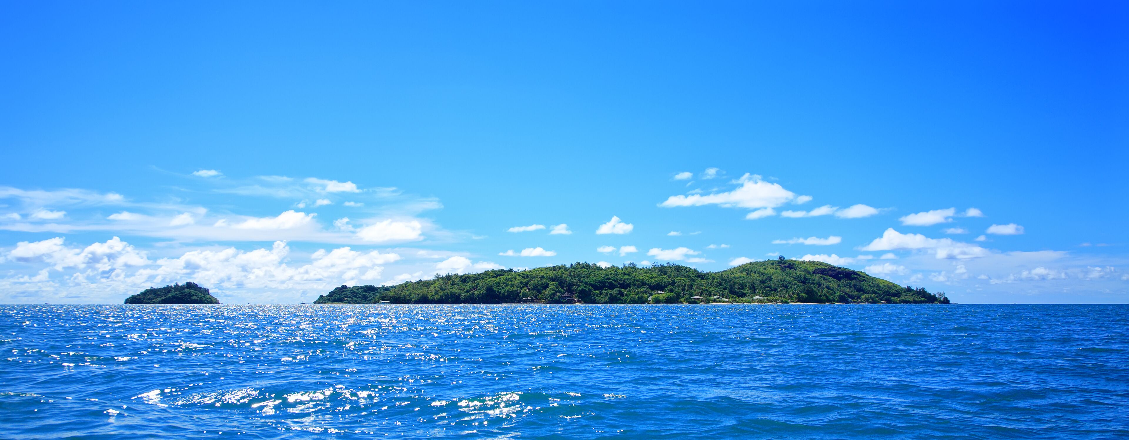 A clear blue sea with a small island covered in greenery.