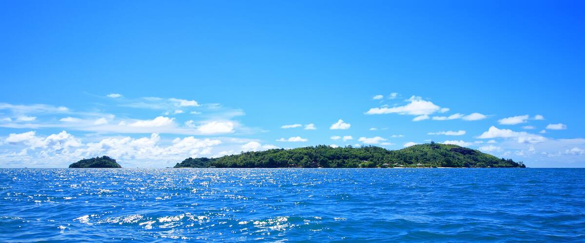 A clear blue sea with a small island covered in greenery.
