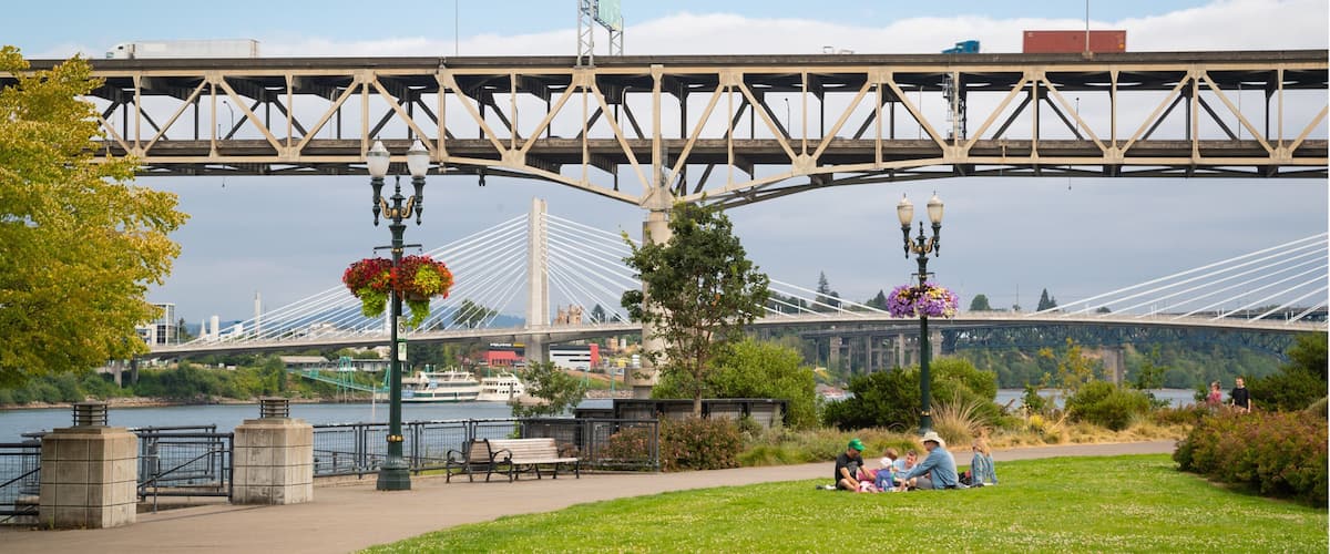 South Waterfront City Park showing a garden, a bridge and picnicing