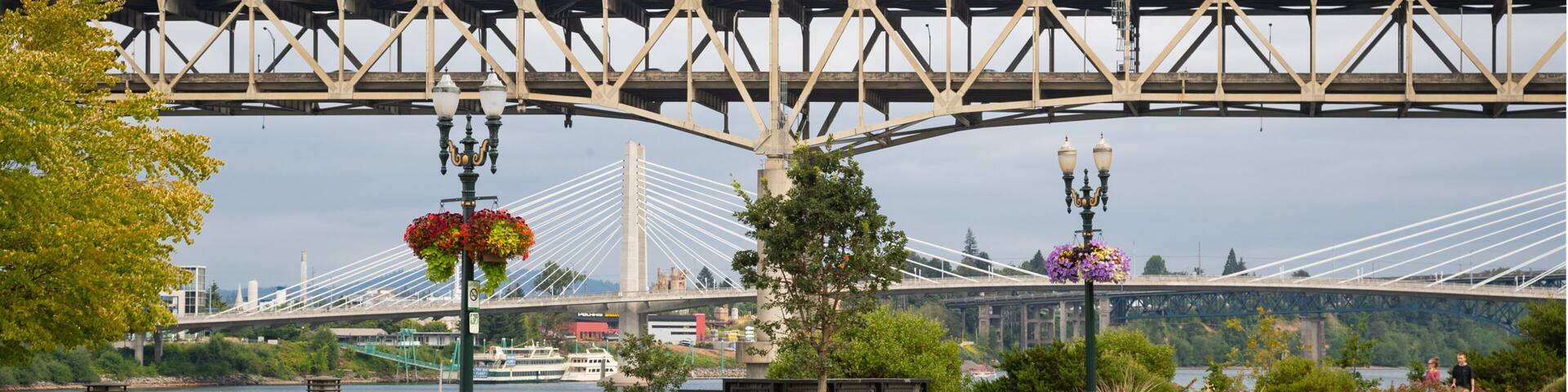 South Waterfront City Park showing a garden, a bridge and picnicing