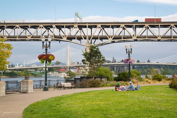 South Waterfront City Park showing a garden, a bridge and picnicing