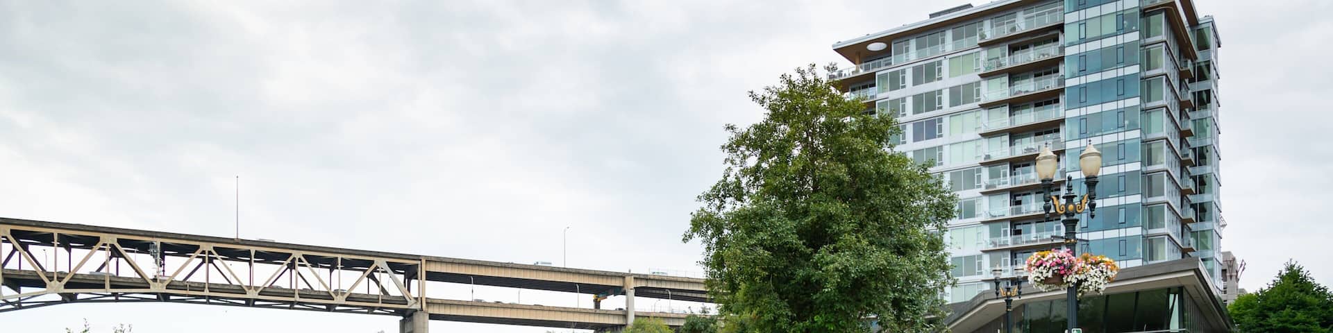 South Waterfront City Park showing a bridge and a park