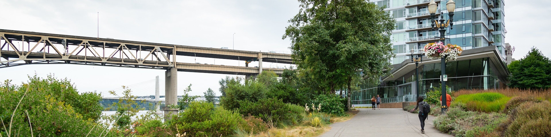 South Waterfront City Park showing a bridge and a park