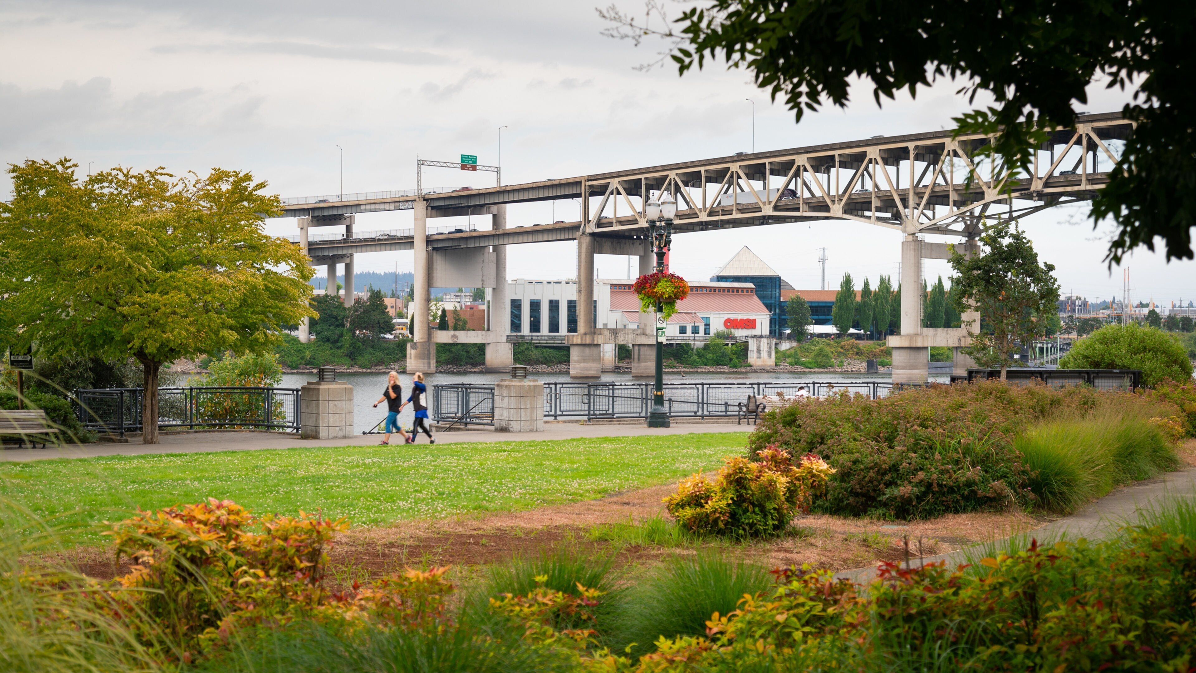 South Waterfront City Park showing a bridge, hiking or walking and a garden