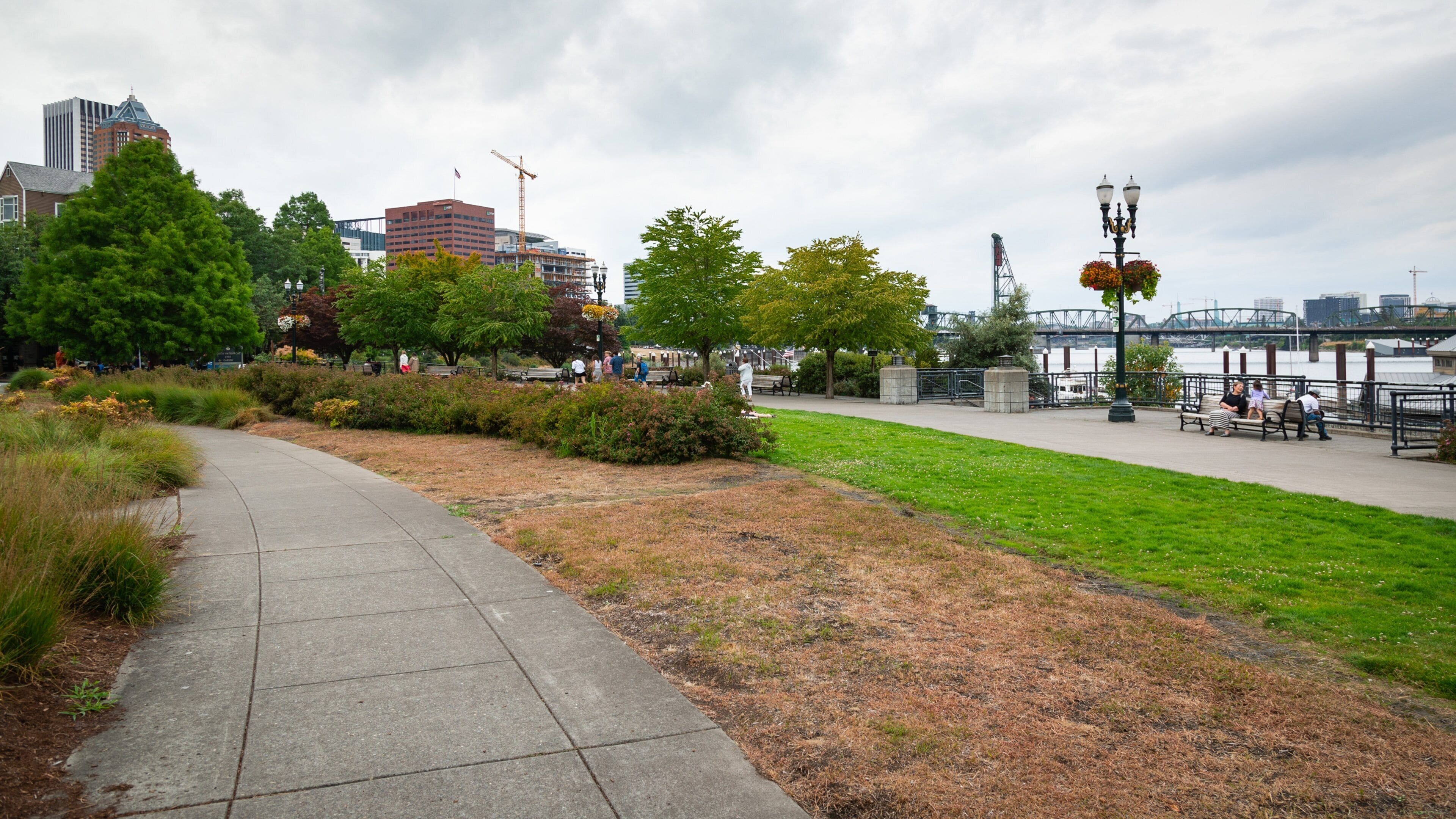 South Waterfront City Park which includes a park