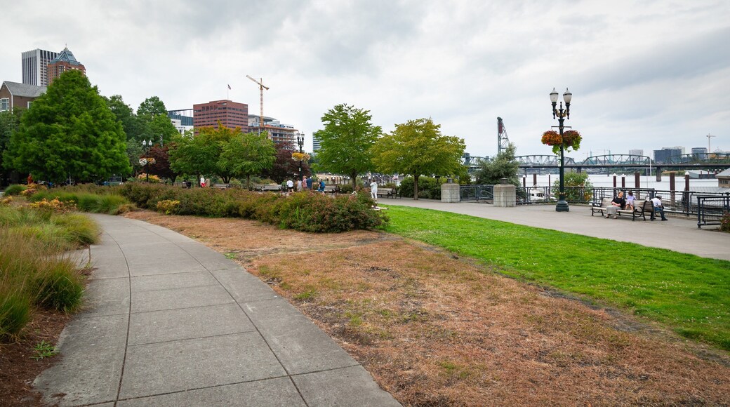 South Waterfront City Park which includes a park