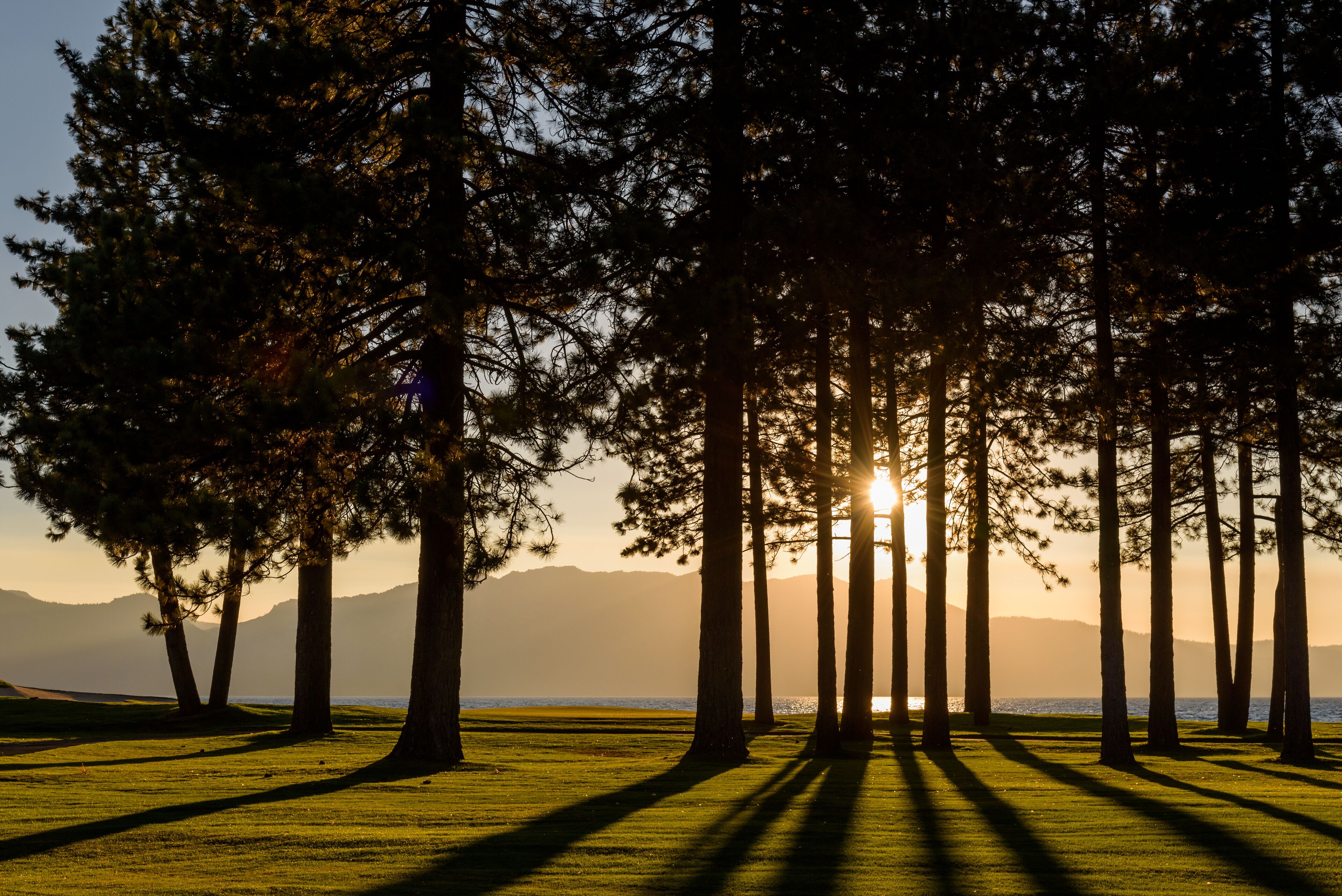 Early evening on a golf course, view from the fairway