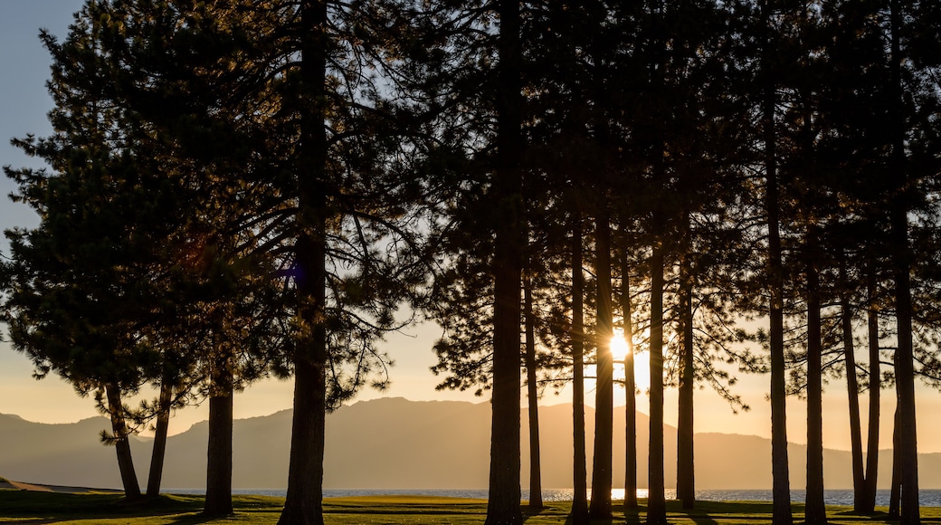 Campo de golf Pine Shadows
