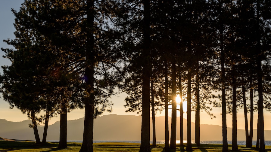 Early evening on a golf course, view from the fairway