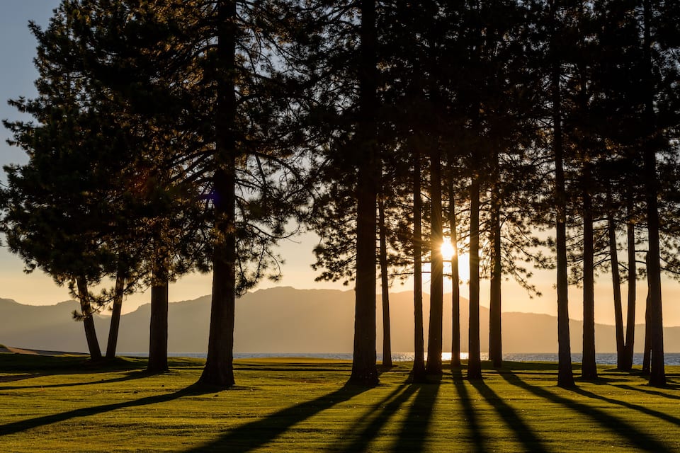 Un capvespre sobre un camp herbós amb arbres alts que projecten ombres, i muntanyes al fons.
