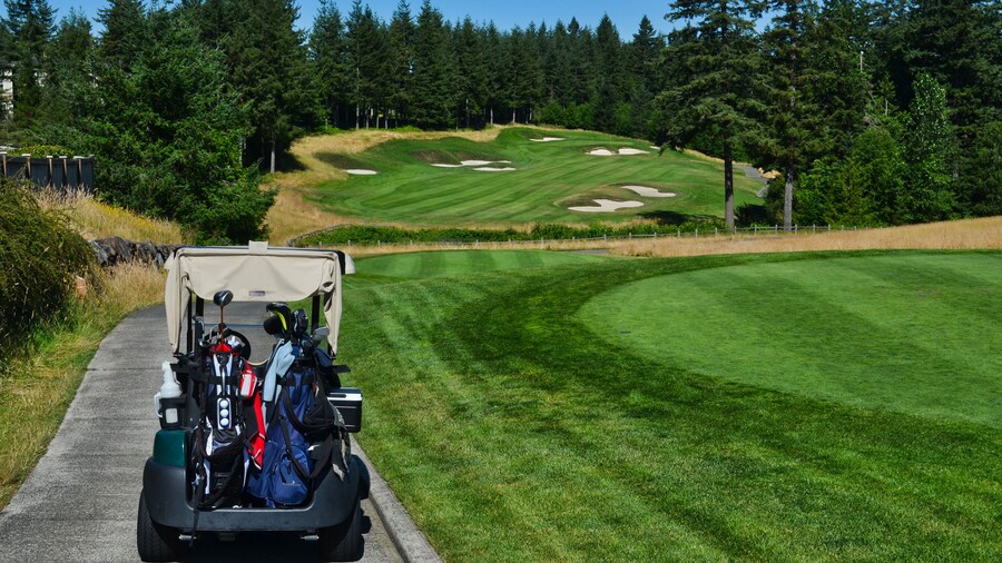 Golf Cart with Clubs Headed Down Cart Path along Fairway between Forest in Washington
