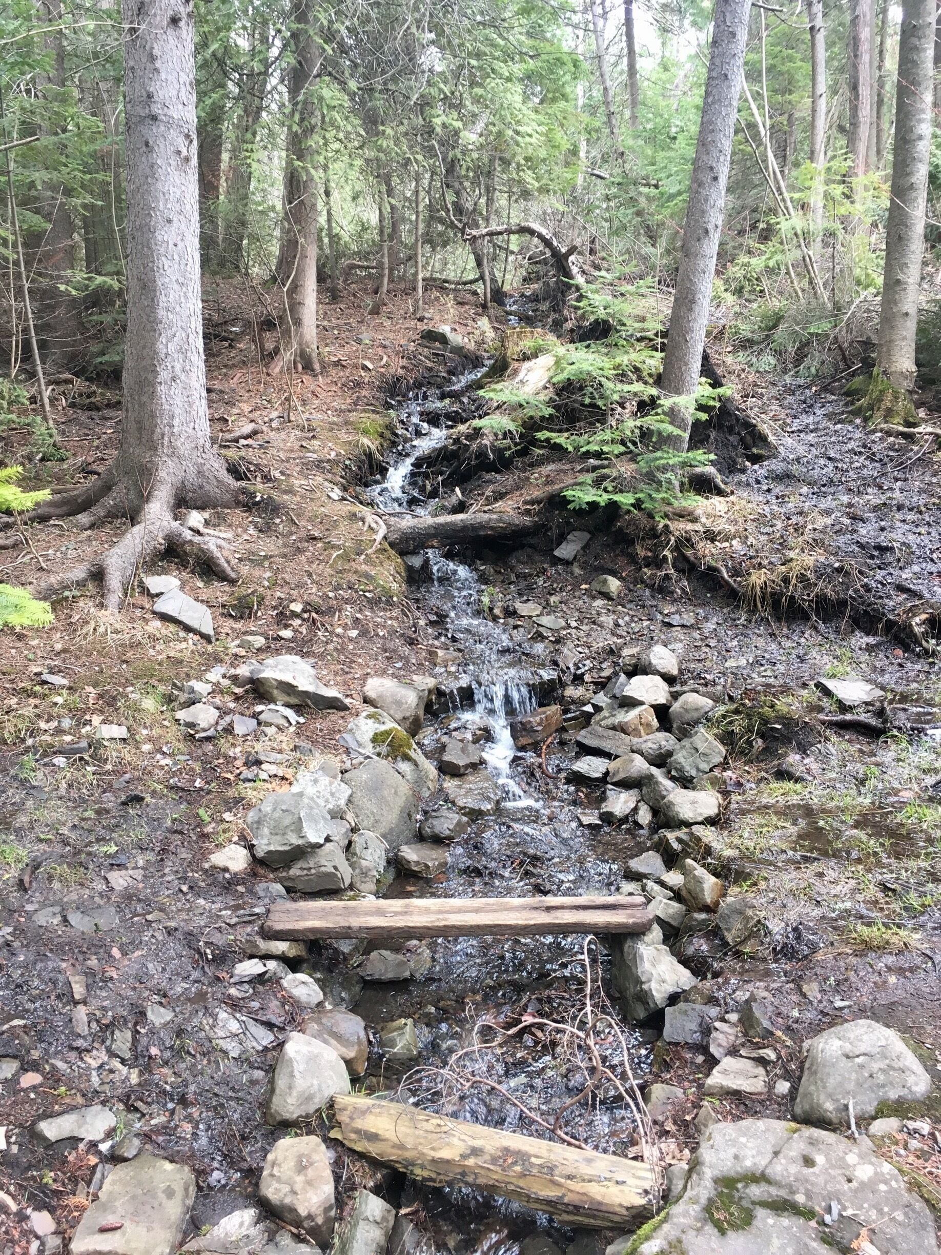 The parc des chutes is an excellent spot downtown Rivière-du-loup to go for a hike. 