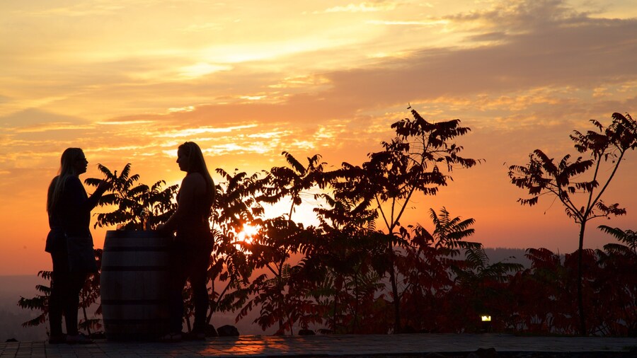 Arbor Crest Wine Cellars showing tropical scenes and a sunset as well as a small group of people
