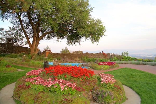 アーバー クレスト ワイン セラーズ 表示 花 と 公園