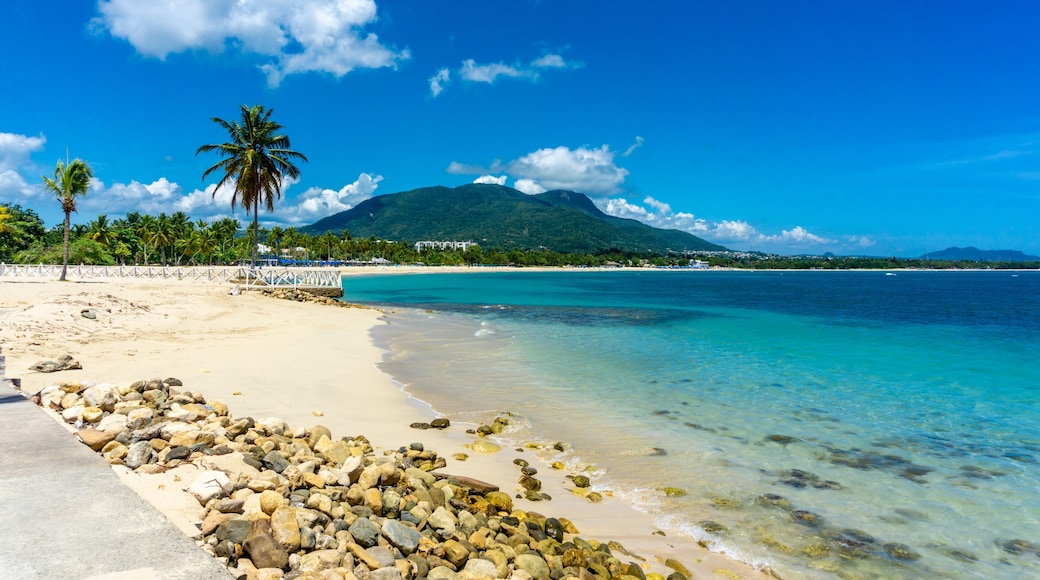 Puerto Plata - Dominican Republic, Beautiful Tropical Beach - July, 2022