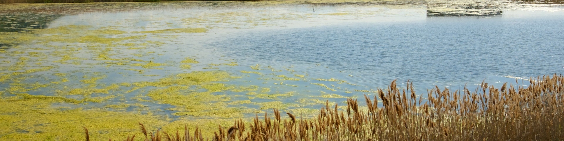 Great Salt Lake State Park caracterizando um lago ou charco