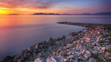 Just happened to be driving by the Great Salt Lake at sunset. Stopped to see the most amazing one. Hidden gem of Utah state parks. And only $5 day use.
