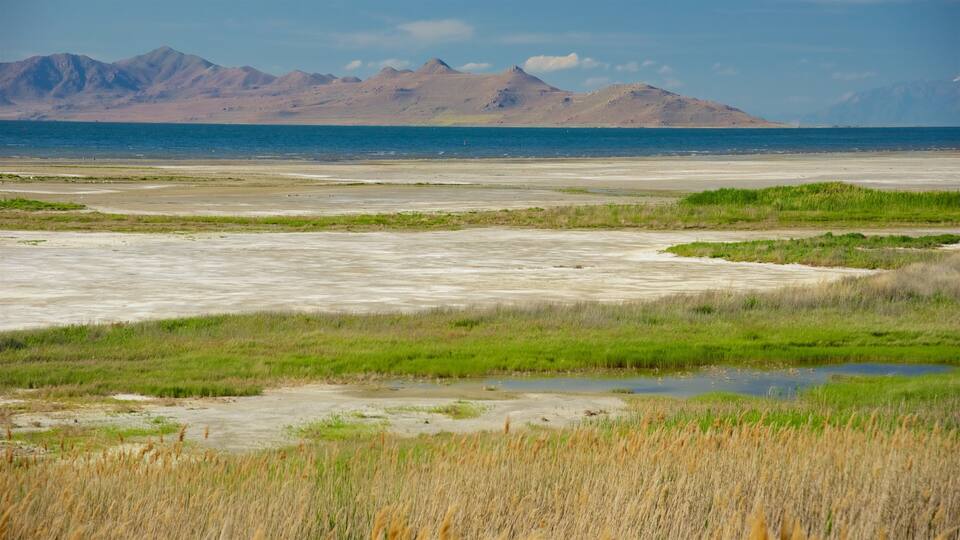 A coastal landscape with a sandy beach, green vegetation, and distant mountains.
