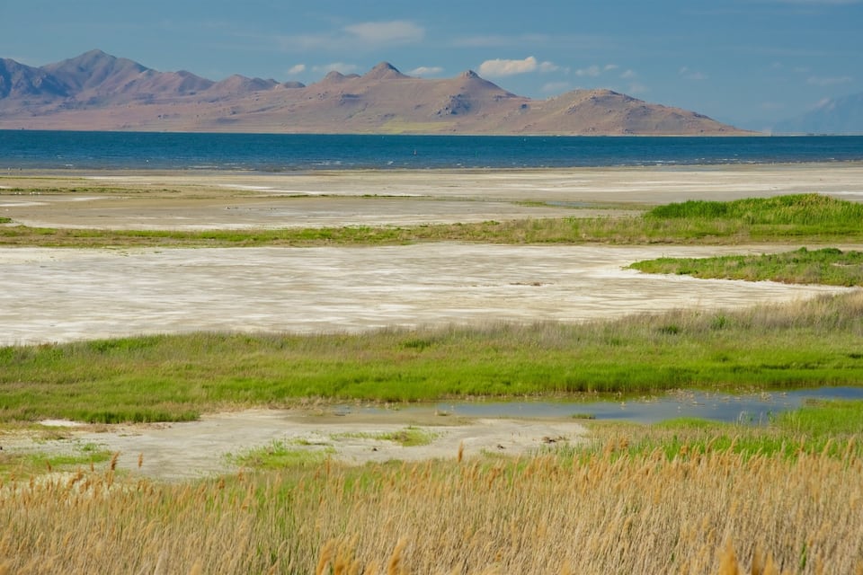 A coastal landscape with a sandy beach, green vegetation, and distant mountains.