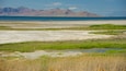Taman Negeri Great Salt Lake
