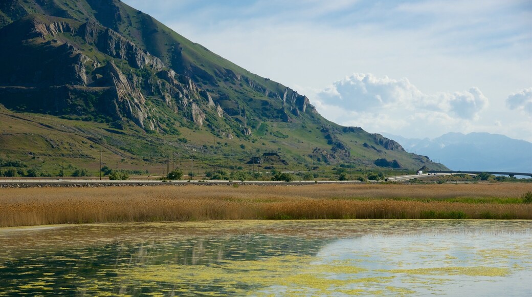 Great Salt Lake State Park which includes tranquil scenes, landscape views and a lake or waterhole