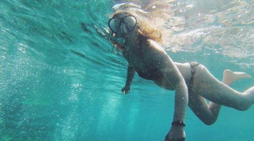 Snorkeling in the historic Balmorhea Springs #blue