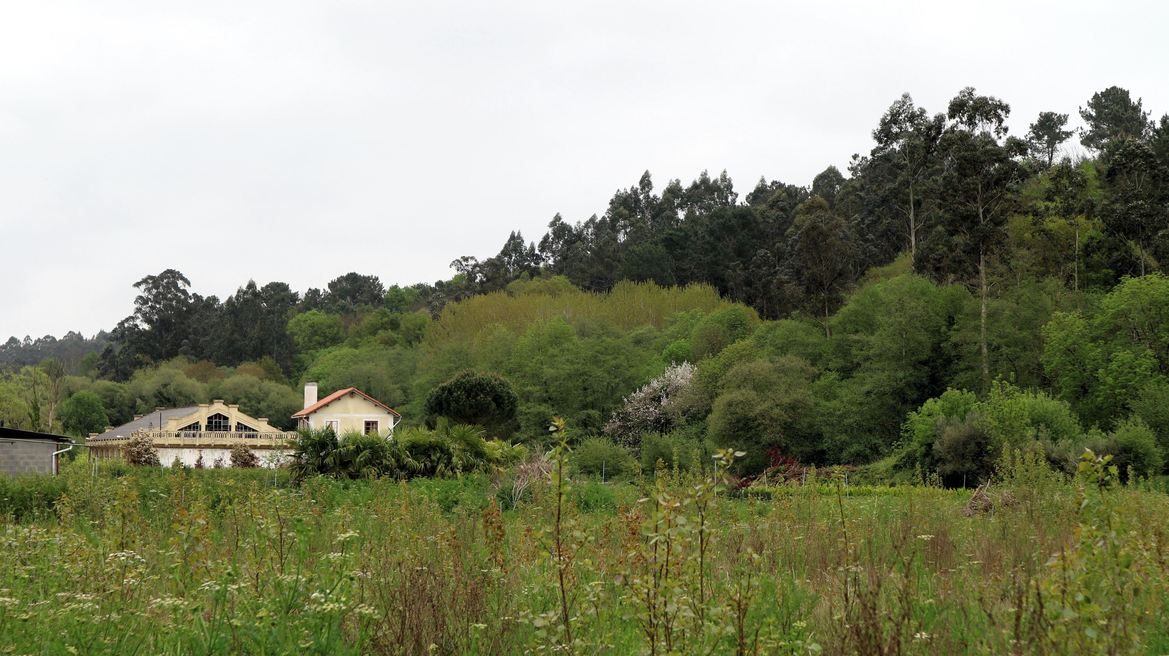 Traída de augas de Cañás, na Ribeira de Cañás, Cañás (Carral, A Coruña). Ao fondo, o río Barcés e Muradelo, Figueiroa.