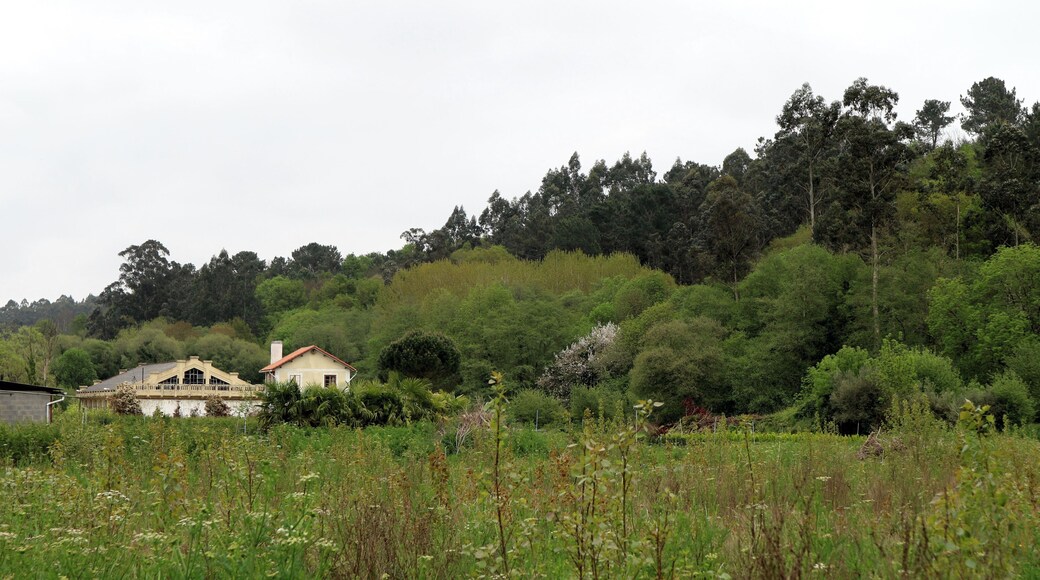 Traída de augas de Cañás, na Ribeira de Cañás, Cañás (Carral, A Coruña). Ao fondo, o río Barcés e Muradelo, Figueiroa.