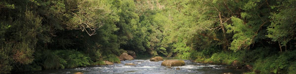 Natural Park Fragas do Eume (A Coruña, Galicia). Eume river from Chao de Ombre (Pontedeume) to (Taboada, Monfero).