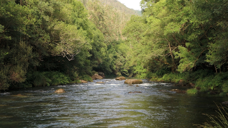 Natural Park Fragas do Eume (A Coruña, Galicia). Eume river from Chao de Ombre (Pontedeume) to (Taboada, Monfero).