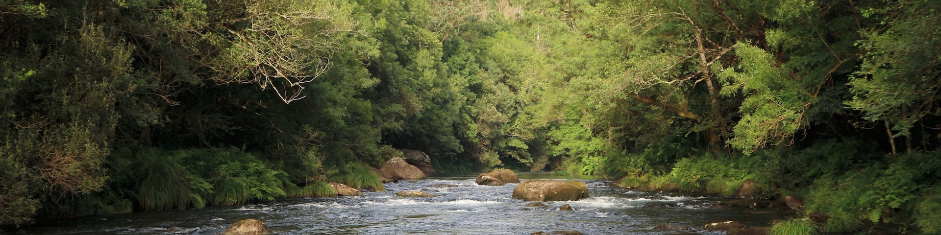Natural Park Fragas do Eume (A Coruña, Galicia). Eume river from Chao de Ombre (Pontedeume) to (Taboada, Monfero).