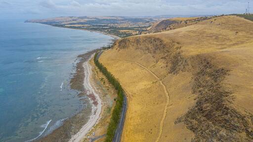 ์๋ฆฌ๋ ์ฝ๋ธ